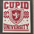 103 - Completed T-shirt